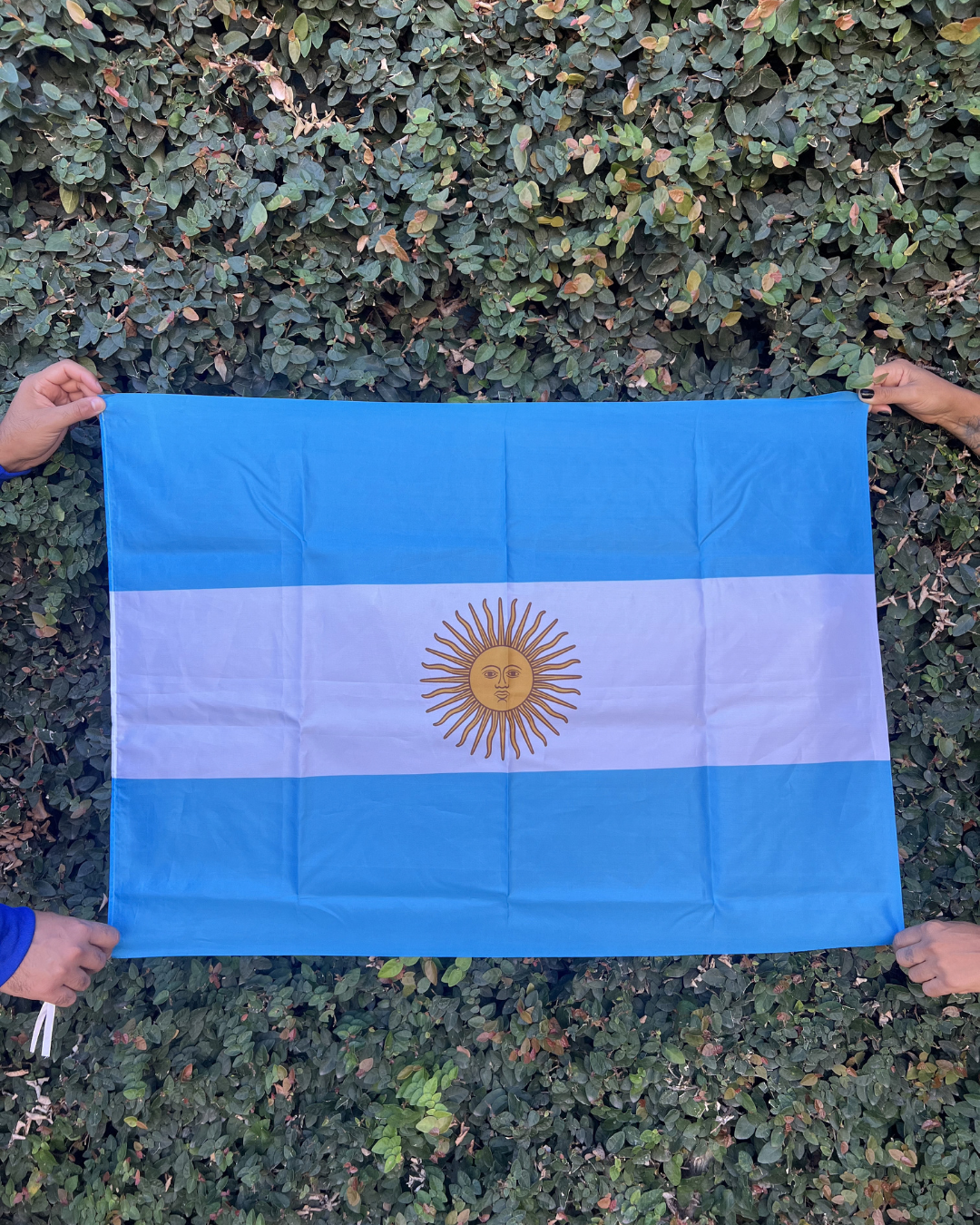 BUZO AFA 94 EDICIÓN ESPECIAL + BANDERA ARGENTINA DE REGALO