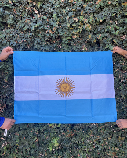 BUZO AFA 94 EDICIÓN ESPECIAL + BANDERA ARGENTINA DE REGALO